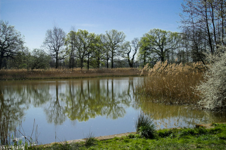 Oberlausitzer Heide & Teichlandschaft